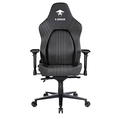 Havit Kraken Meteor-1 Profesyonel Gaming Koltuk - Siyah - 1