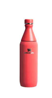 Stanley All Day Slim Bottle 0.60 Lt. - 2